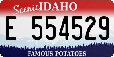 ID license plate E554529