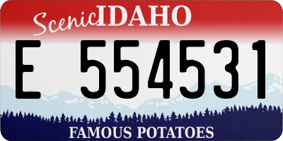 ID license plate E554531