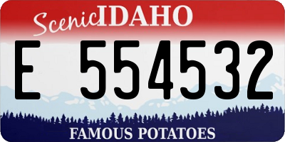 ID license plate E554532