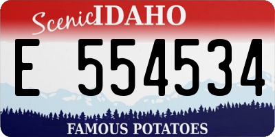 ID license plate E554534