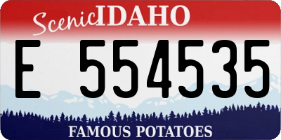 ID license plate E554535