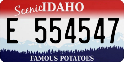 ID license plate E554547