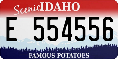 ID license plate E554556