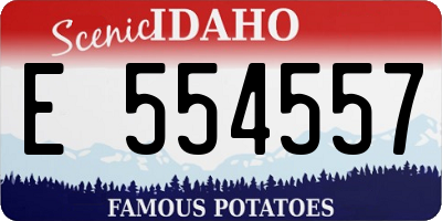 ID license plate E554557