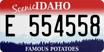ID license plate E554558