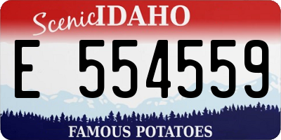 ID license plate E554559