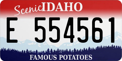 ID license plate E554561