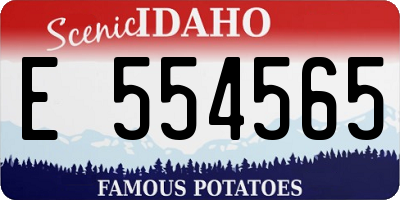 ID license plate E554565