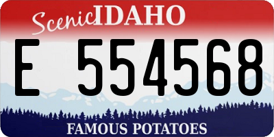 ID license plate E554568