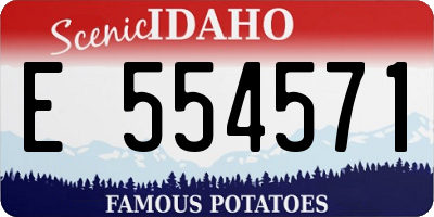 ID license plate E554571
