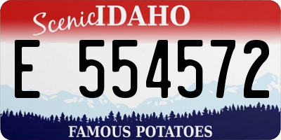ID license plate E554572