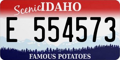 ID license plate E554573