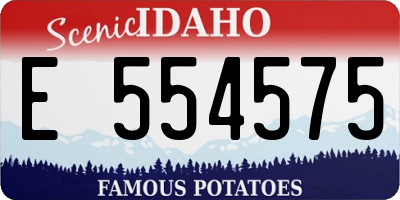 ID license plate E554575