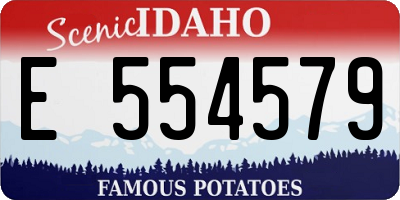 ID license plate E554579