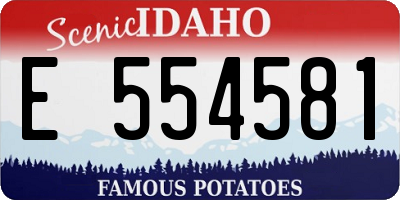 ID license plate E554581