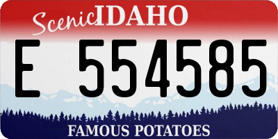 ID license plate E554585