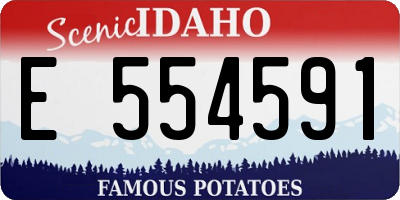 ID license plate E554591