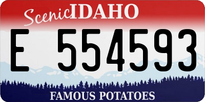 ID license plate E554593