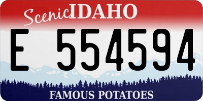 ID license plate E554594