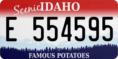 ID license plate E554595