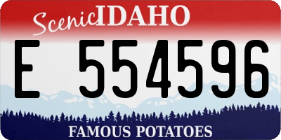 ID license plate E554596