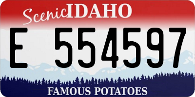 ID license plate E554597