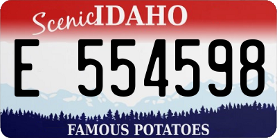 ID license plate E554598