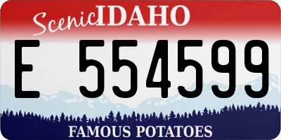 ID license plate E554599