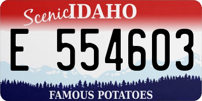 ID license plate E554603