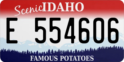 ID license plate E554606
