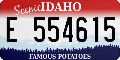 ID license plate E554615