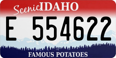 ID license plate E554622
