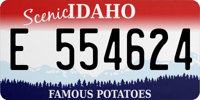 ID license plate E554624