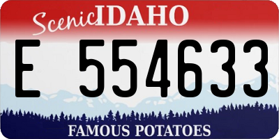 ID license plate E554633