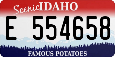 ID license plate E554658
