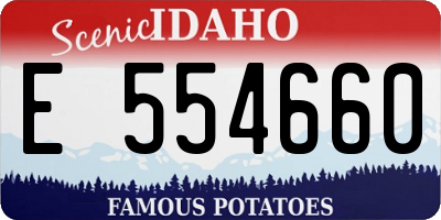 ID license plate E554660