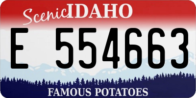 ID license plate E554663