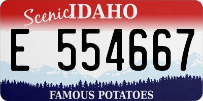 ID license plate E554667
