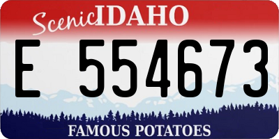 ID license plate E554673