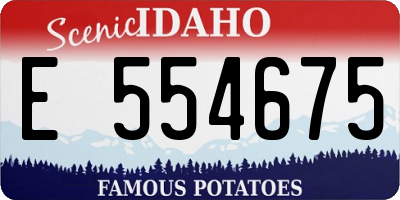 ID license plate E554675
