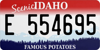 ID license plate E554695