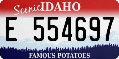 ID license plate E554697