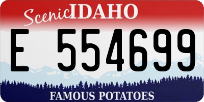ID license plate E554699