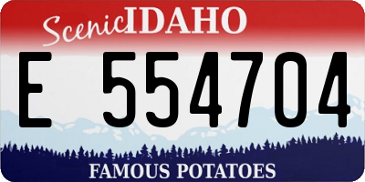ID license plate E554704