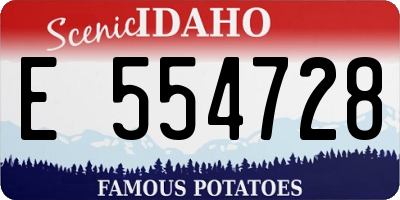 ID license plate E554728