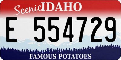 ID license plate E554729