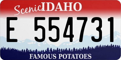 ID license plate E554731