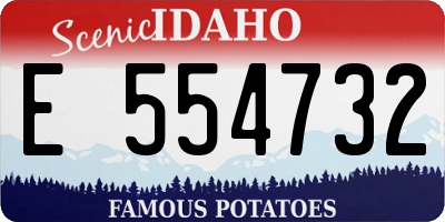 ID license plate E554732