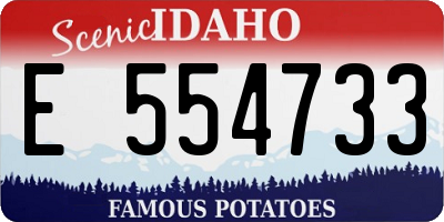 ID license plate E554733