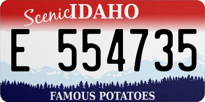 ID license plate E554735